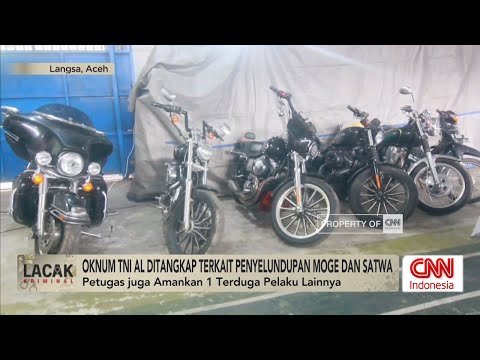 Oknum TNI AL Ditangkap Terkait Penyelundupan Moge dan Satwa