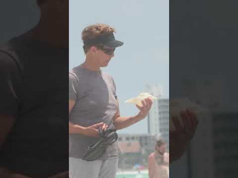 Putting a Tiny Speaker in a Seashell & Waiting for People to Listen Prank