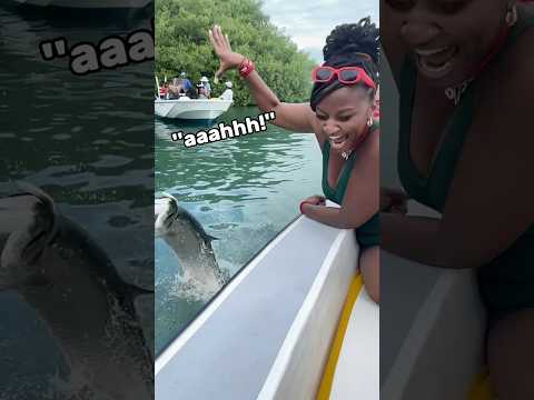 When You Try to Feed a Fish (@mairisloc0)