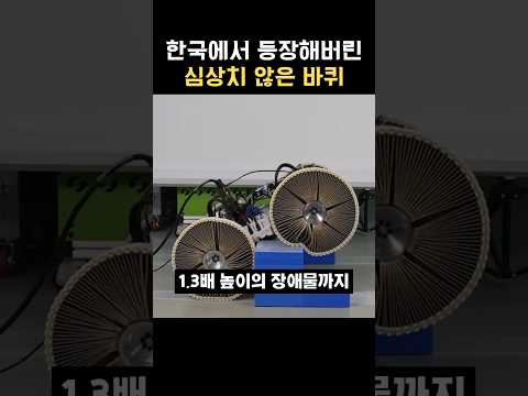 한국에서 등장해버린 심상치 않은 바퀴