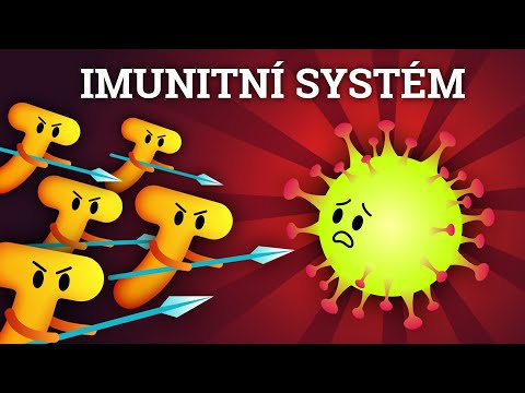 IMUNITA A COVID-19 - VŠECHNO O COVIDU #5