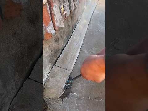 पापा इसको मत उखाड़ो #shorts #ytshorts #shortsviral