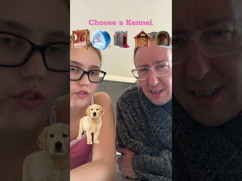 Who will do the best? ๐#filter #tiktokfilter #filterchallenge #adoptapuppy #dadandcloshow