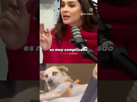 LA MEJOR EXPLICACIÓN A VER SI ASI ENTIENDEN 🤣 #embarazo #mujer #novia #españa #consejos #reflexion