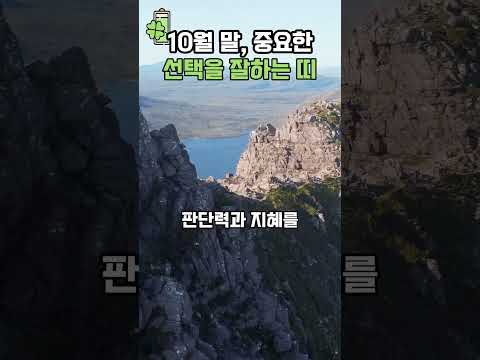 10월 말 중요한 선택을 잘하는 띠 💰🍀 #띠별운세 #풍수 #사주팔자