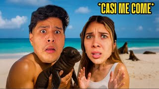 CASI NOS COME UN LEON MARINO🤣 *PRIMERA VEZ EN GALAPAGOS*