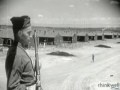 Korematsu Case and Japanese Internment