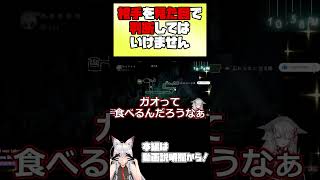 【HollowKnight】相手を見た目で判断してはいけません【 #vtuber #tukky 】#⁠shorts