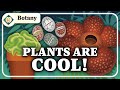 Exploring the World of Botany