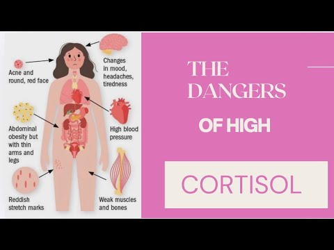 The Dangers of High Cortisol