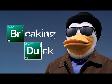 BREAKING DUCK