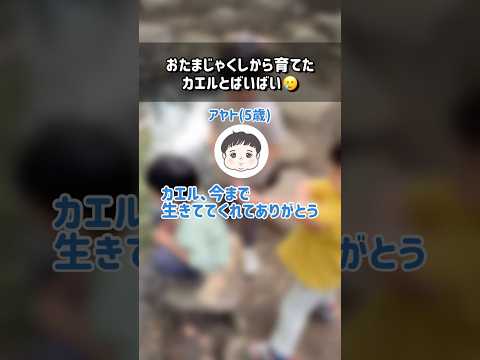 5歳「今まで生きてくれてありがとう」