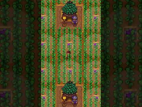 Marriage In Stardew Valley Be Like...