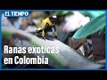 Demanda y Conservación de Especies Colombianas