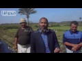 بالفيديو : طريقة زراعة بنجر السكر ومشاكله فى دمياط