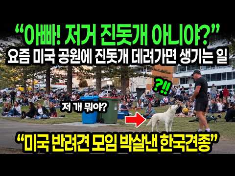 저거 <strong>진돗개</strong> 아니야?” 요즘 미국 공원에 <strong>진돗개</strong> 데려가면 생기는 일 // “미국 반려견 모임 박살낸 한국견종”