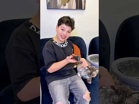He shaved the cat's fur 2 😂 #funny #Sigma