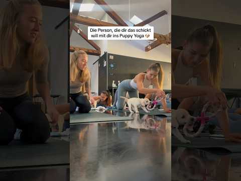 War so cute mir den kleinen Labrador Welpen! 😍🐶 #puppyyoga