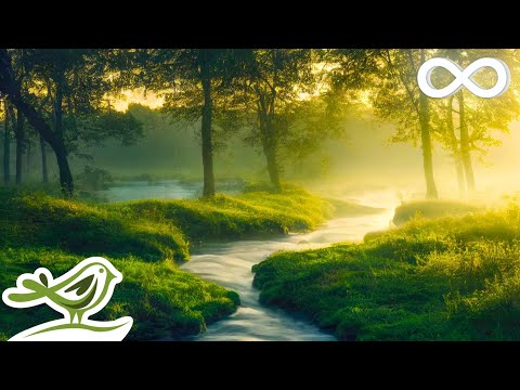 Daydreaming: Relaxing Piano & Flute Music with Trickling Water Sounds for Spa & Sleep