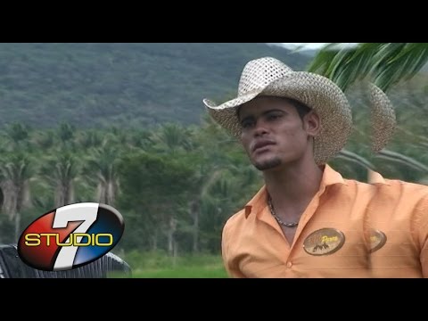 BANDA 100 PAREA  Amar seus defeitos