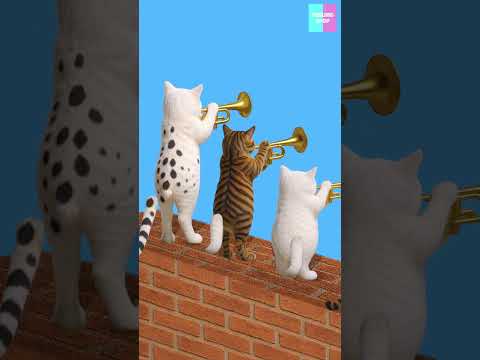 Which Tail 2? /꼬리는 몇번 2 ?