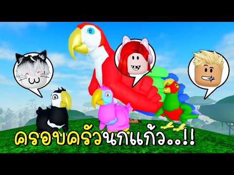 พี่ฝนพี่เอกปุ๊กปิ๊กเป็นครอบครัวนกแก้ว🦜🐣🐥🐤RobloxFeatherFamily