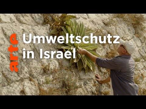 Israel: Die neuen Naturschützer | ARTE Reportage