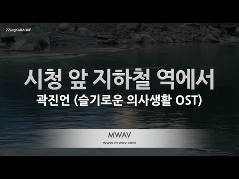[짱가라오케/노래방] 곽진언(Kwak Jin Eon)-시청 앞 지하철 역에서 (슬기로운 의사생활 OST) [ZZang KARAOKE]