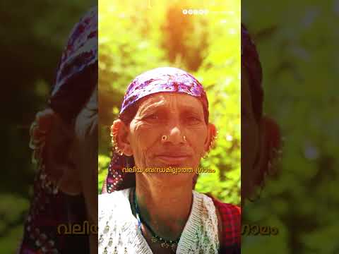 കഞ്ചാവിൽ കേമൻ ? മലാന ഗോൾഡ് ?‍? | #malana #hashish #hash #drugs #village #viral #malanagold #smoking