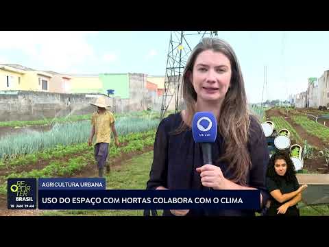 Agricultura urbana: Uso do espaço com hortas colabora com o clima