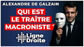 Alerte : Il y a un traître macroniste à Ligne Droite ! - Alexandre de Galzain