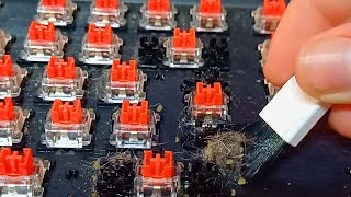 2 YILLIK KLAVYEMİ TEMİZLEDİM!?