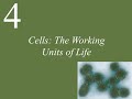 Prokaryotic and Eukaryotic Cell Concepts