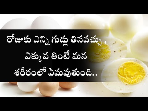 రోజు గుడ్డు తింటే ఏమవుతుంది | రోజుకి ఎన్ని గుడ్లు తినవచ్చు | Egg health benifits in telugu