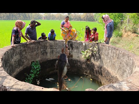 Fishing video || The fish was caught with chicken meet || in the well of the village field