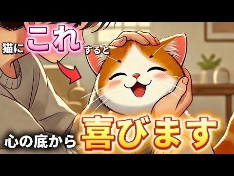猫が喜ぶ愛情表現と絆を深める方法 サムネイル