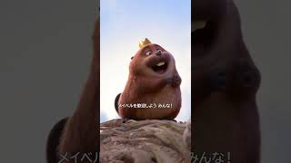 動画サムネイル