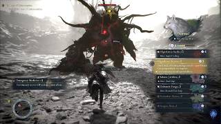 Beast of Reincarnation - XP + SP Farming Spot
