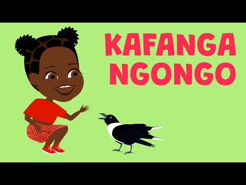 Kafanga ngongo - Comptine du Congo pour maternelles