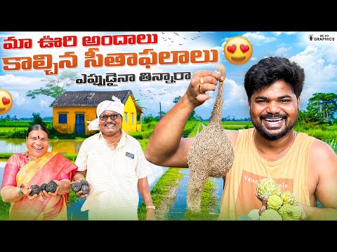 Maa Oori Andaalu Kalchina Seethaphalaalu|Ft.5Monkeys Food