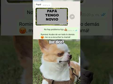 no todos pueden verlo #shorts #memes #videoviral #humor