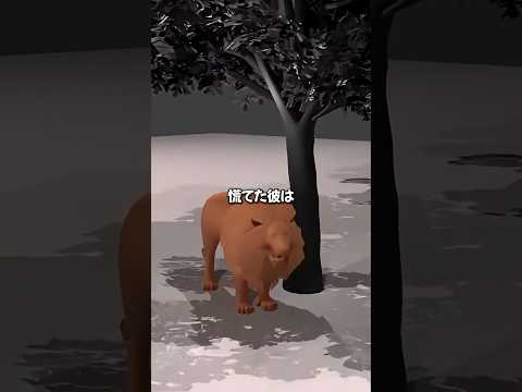 【実際映像】袋の鼠