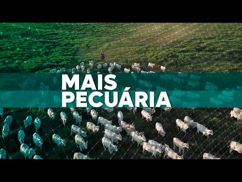 Mais Pecuária | 06/03/2026