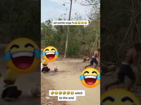 Prank Dikejar Singa Auto Nyungsep Bikin Ngakak #viralshort