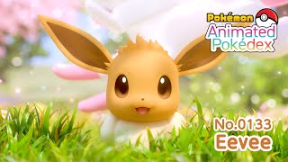 Animated Pokédex No.0133 "Eevee"