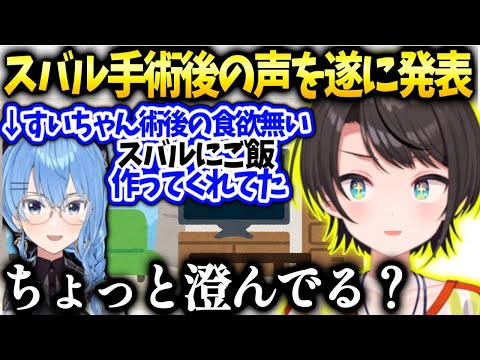 スバルの声が変わったかどうか遂に発表とすいちゃん家でご飯食べさせてもらってた話【大空スバル/ホロライブ】
