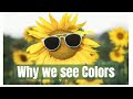 Understanding Light and Color
