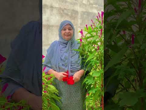 Madina Bulaiye 🕋🧕🤲 #shorts #adilismailkhan#shortvideo #viralshorts #viral #trending #youtubeshorts