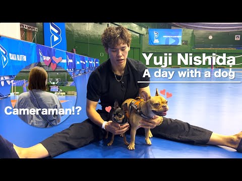 西田家の愛犬チャーリー&ハリソンを紹介します|Yuji Nishida