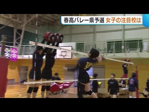 【春高バレー】新潟・女子注目校 県総体優勝からさらにパワーアップした“新発田商業” フルスロットルで8年ぶりの春高目指す...